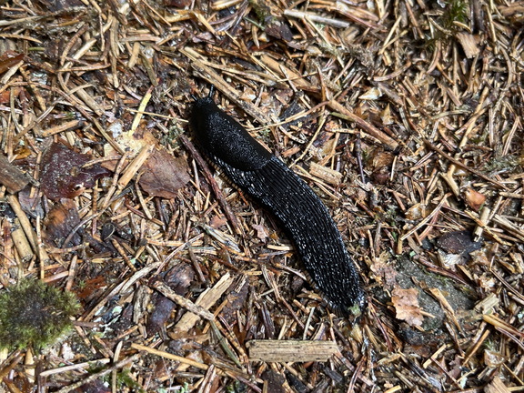 22-05-29 12-06-49 0958